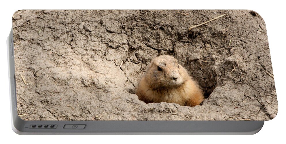 Animal Portable Battery Charger featuring the photograph Prairie Dog by Mary Mikawoz