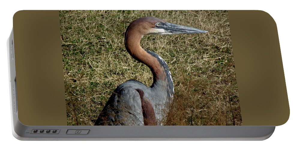 Crane Portable Battery Charger featuring the photograph Prehistoric Features by Kim Galluzzo