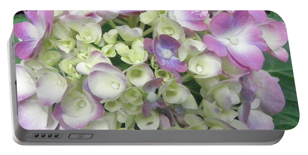 Hydrangea Portable Battery Charger featuring the photograph Pretty Pastels by Kim Galluzzo