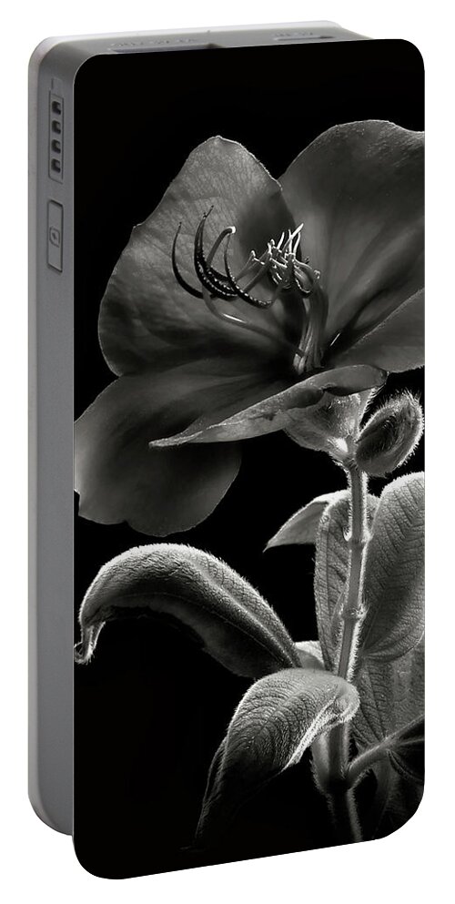 Flower Portable Battery Charger featuring the photograph Princess Flower in Black and White by Endre Balogh