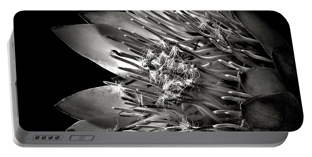 Flower Portable Battery Charger featuring the photograph Protea in Black and White by Endre Balogh