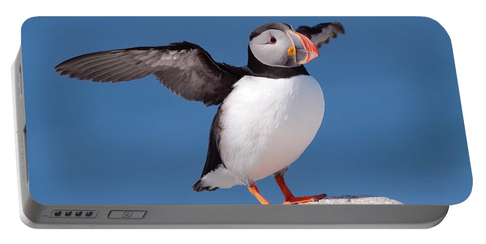 Puffin Portable Battery Charger featuring the photograph Puffin Stretch by Bruce J Robinson