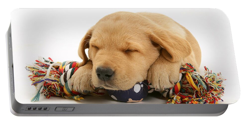 Animal Portable Battery Charger featuring the photograph Puppy Sleeping by Jane Burton