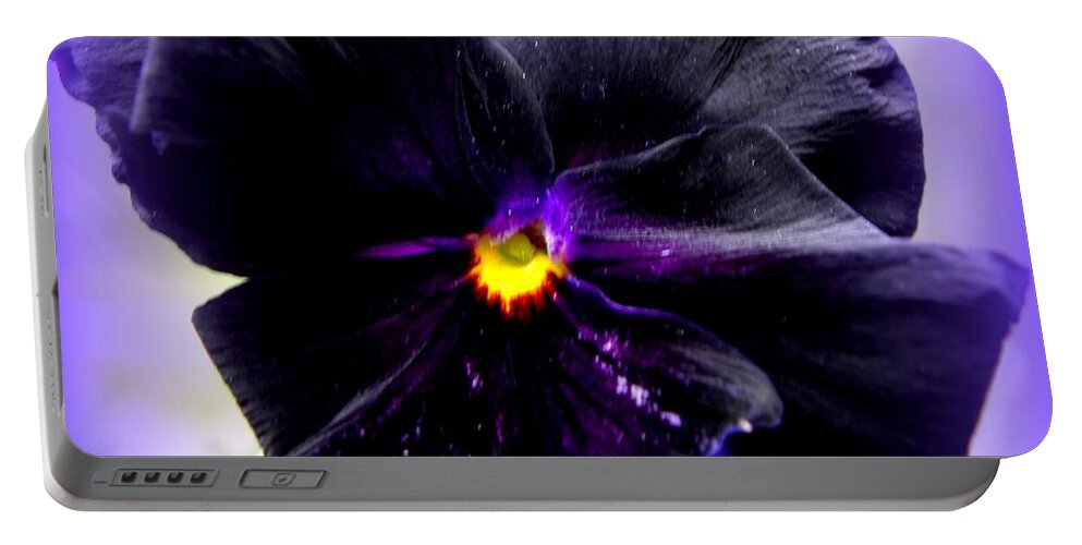 Pansy Portable Battery Charger featuring the photograph Purple Majesty by Kim Galluzzo