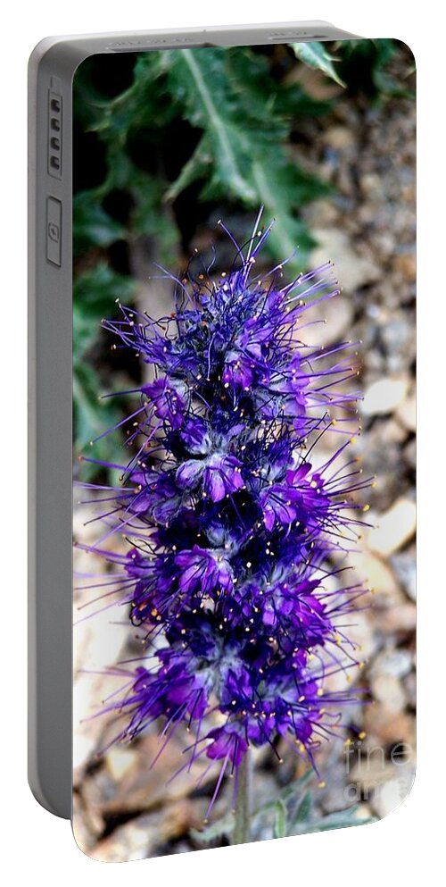 Wildflowers Portable Battery Charger featuring the photograph Purple Reign by Dorrene BrownButterfield