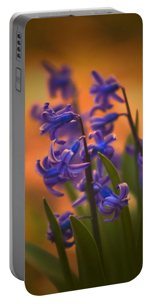 Purple Portable Battery Charger featuring the photograph Purple Sunset by Steven Richardson