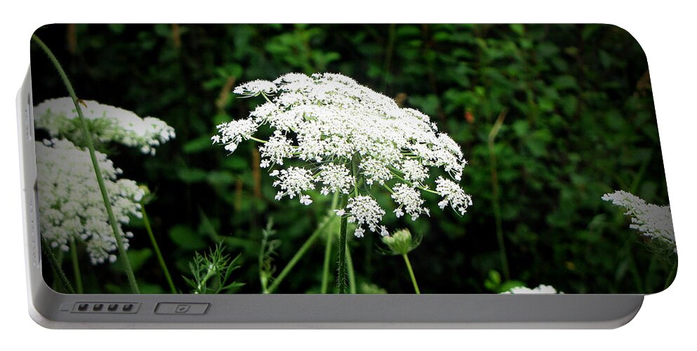 Queen Anne's Lace Portable Battery Charger featuring the photograph Queen Anne's Lace by Ms Judi