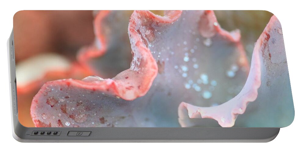 Succulent Portable Battery Charger featuring the photograph Rain Drops Of Colors by Amy Gallagher