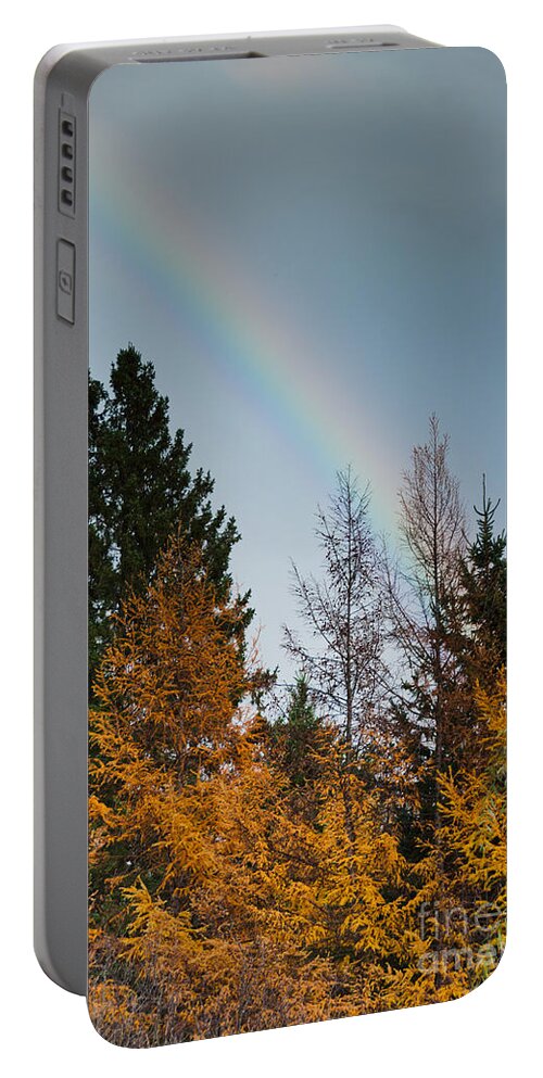 Rainbow Portable Battery Charger featuring the photograph Rainbow Forest by Cheryl Baxter