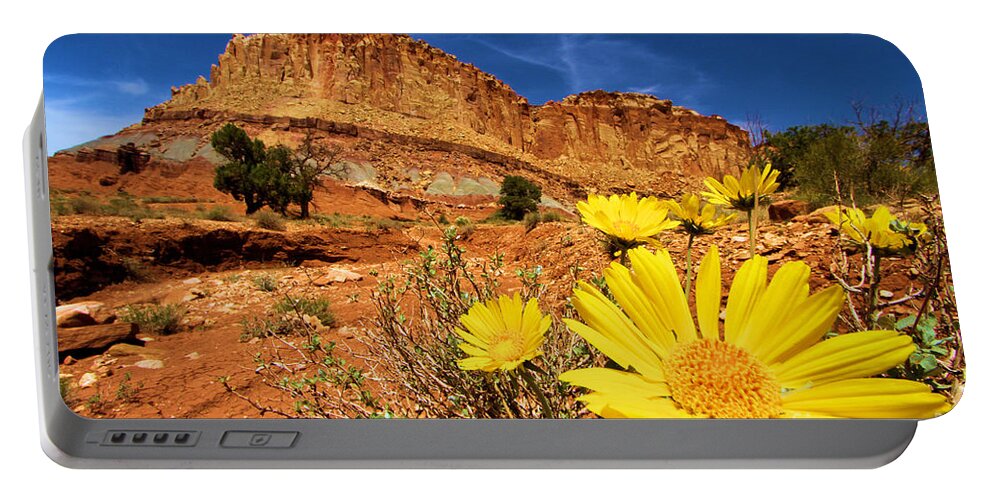 Yellow Flowers Portable Battery Charger featuring the photograph Rainbow Garden by Adam Jewell