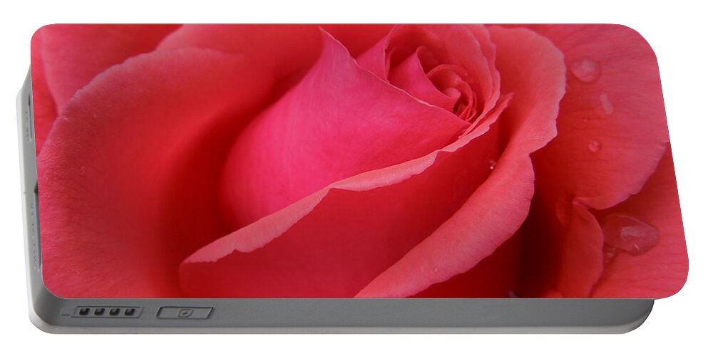 Flowers Portable Battery Charger featuring the photograph Raindrops on Roses Six by Diana Hatcher