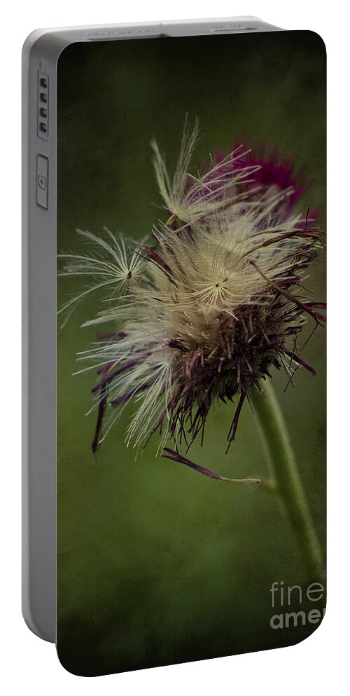 Seeds Portable Battery Charger featuring the photograph Ready to fly away... by Clare Bambers