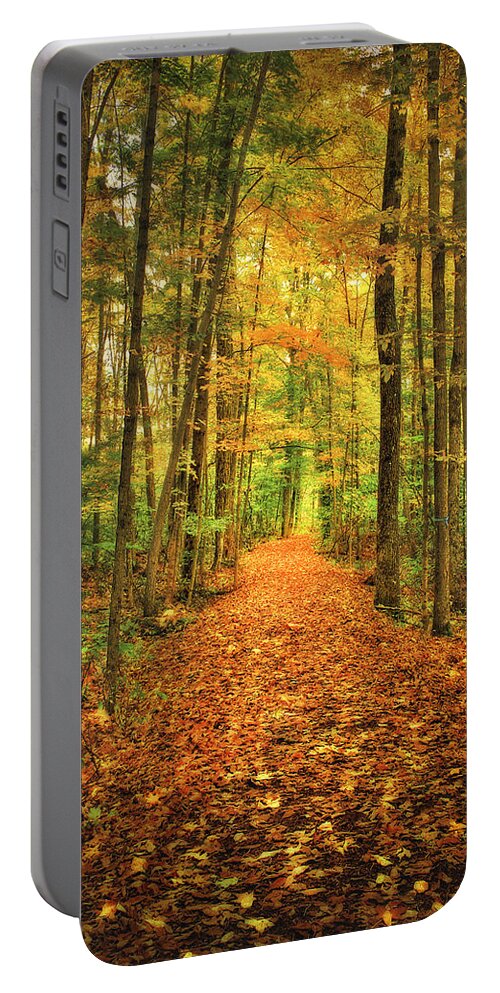Wood Portable Battery Charger featuring the photograph Red Carpet by Evelina Kremsdorf