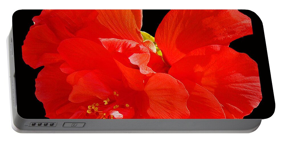 Flower Portable Battery Charger featuring the photograph Red Hibiscus by Cindy Manero