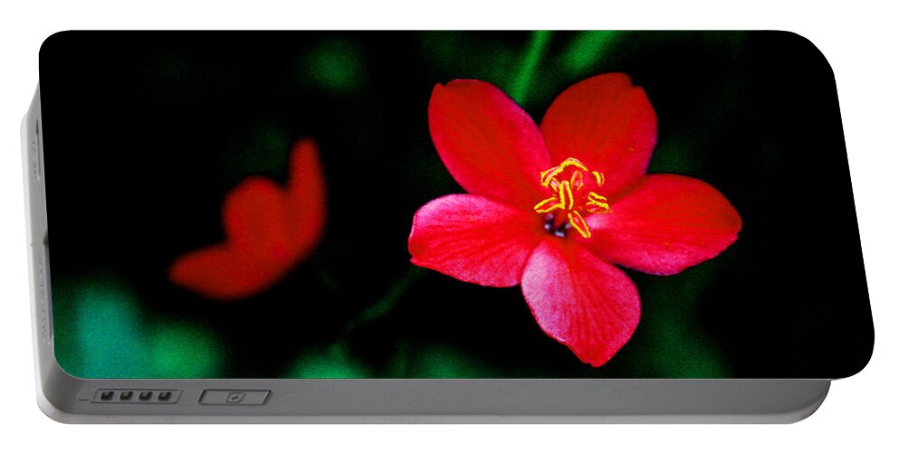 Jatropha Integerrima Portable Battery Charger featuring the photograph Red Petaled Dream by Jennifer Bright Burr