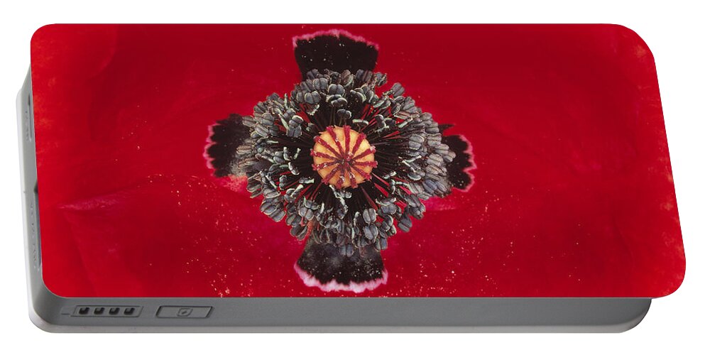 Fn Portable Battery Charger featuring the photograph Red Poppy Papaver Rhoeas Close by Duncan Usher