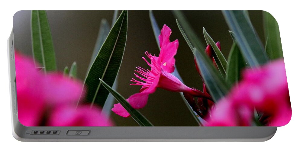 Red Flower Portable Battery Charger featuring the photograph Red Flower by Travis Truelove