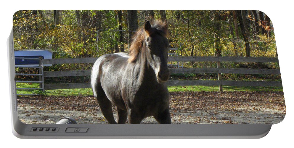 Friesian Horse Portable Battery Charger featuring the photograph Reserve Champion Filly by Kim Galluzzo Wozniak