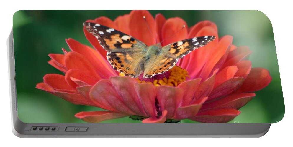 Butterfly Portable Battery Charger featuring the photograph Resting Area by Living Color Photography Lorraine Lynch