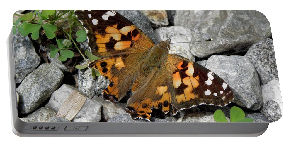 Butterfly Portable Battery Charger featuring the photograph Resting On Rocky Clovers by Kim Galluzzo Wozniak