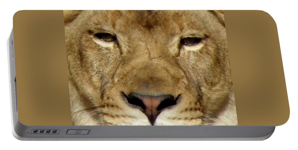 Lion Portable Battery Charger featuring the photograph Roar by Kim Galluzzo