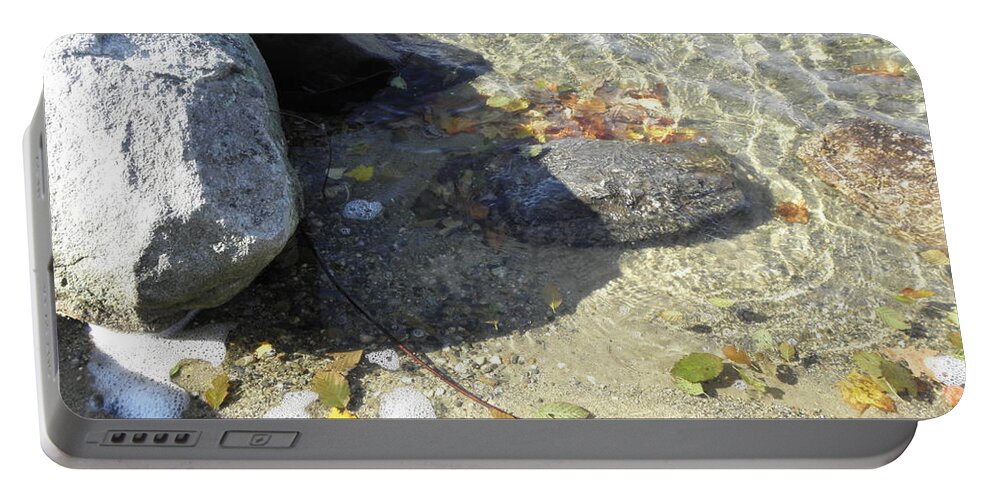 Rocks Portable Battery Charger featuring the photograph Rocky Shore With The Fall Leaves by Kim Galluzzo