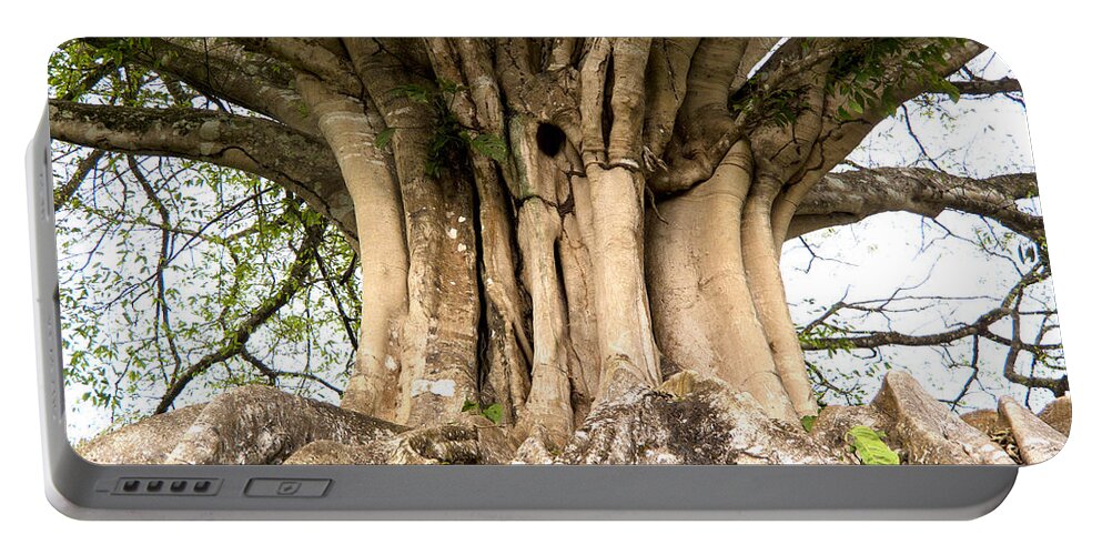 Roots Portable Battery Charger featuring the photograph Roots by Heiko Koehrer-Wagner