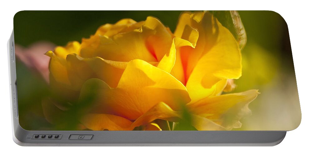 Rose Portable Battery Charger featuring the photograph Rose Blossom by Heiko Koehrer-Wagner
