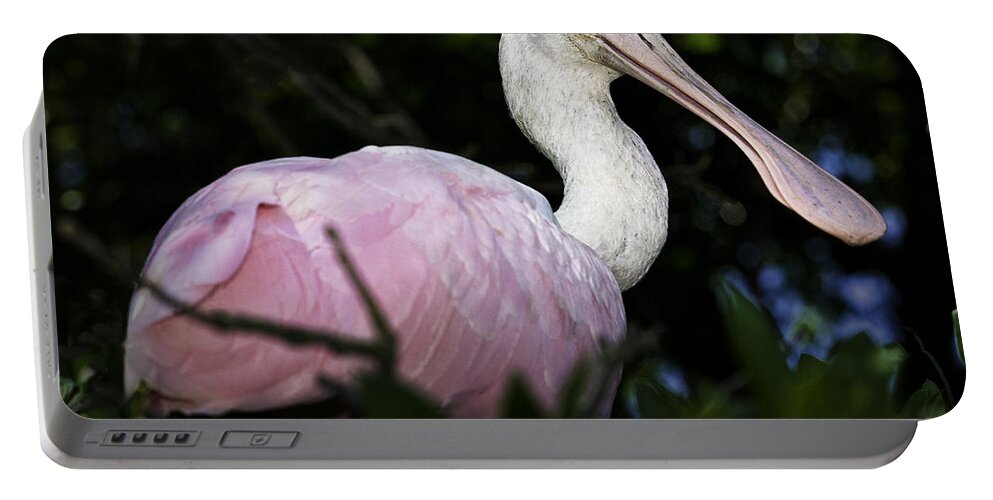 Bird Portable Battery Charger featuring the photograph Roseate Spoonbill by Fran Gallogly