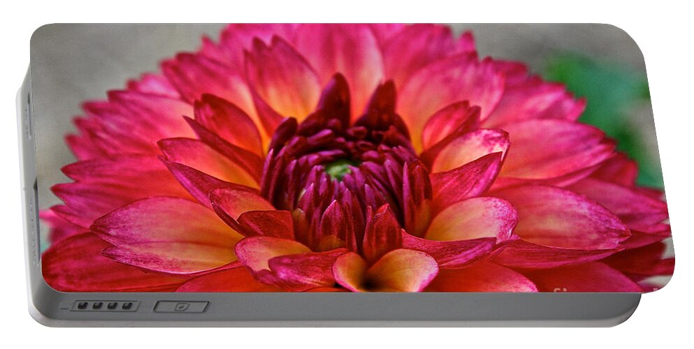 Landscape Portable Battery Charger featuring the photograph Rosy Dahlia by Susan Herber
