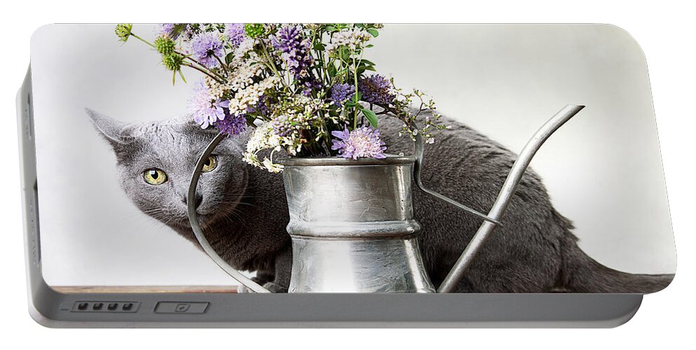 Cat Portable Battery Charger featuring the photograph Russian Blue 03 by Nailia Schwarz