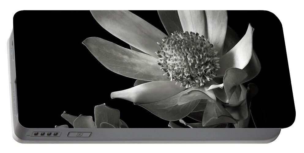 Flower Portable Battery Charger featuring the photograph Safari Sunset in Black and White by Endre Balogh