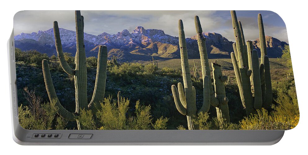 00176715 Portable Battery Charger featuring the photograph Saguaro Cacti And Santa Catalina by Tim Fitzharris