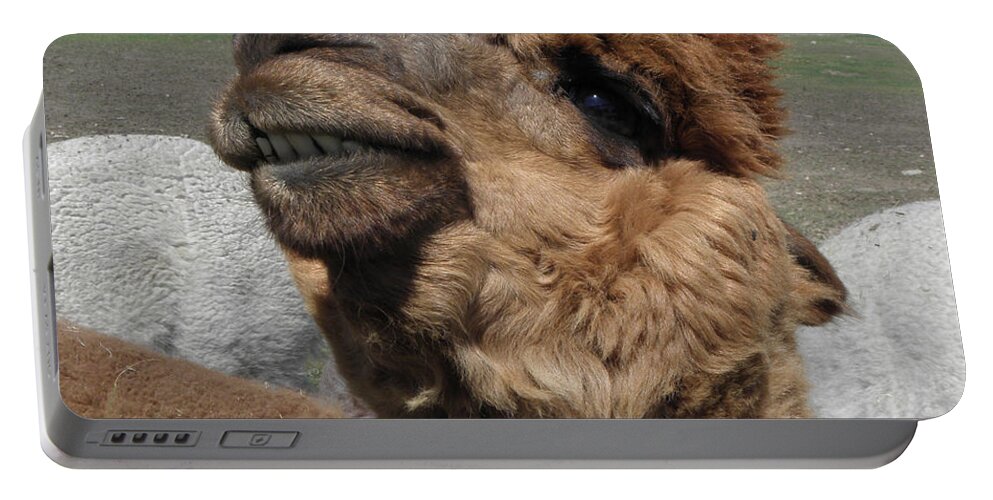 Alpaca Portable Battery Charger featuring the photograph Say cheese by Kim Galluzzo Wozniak