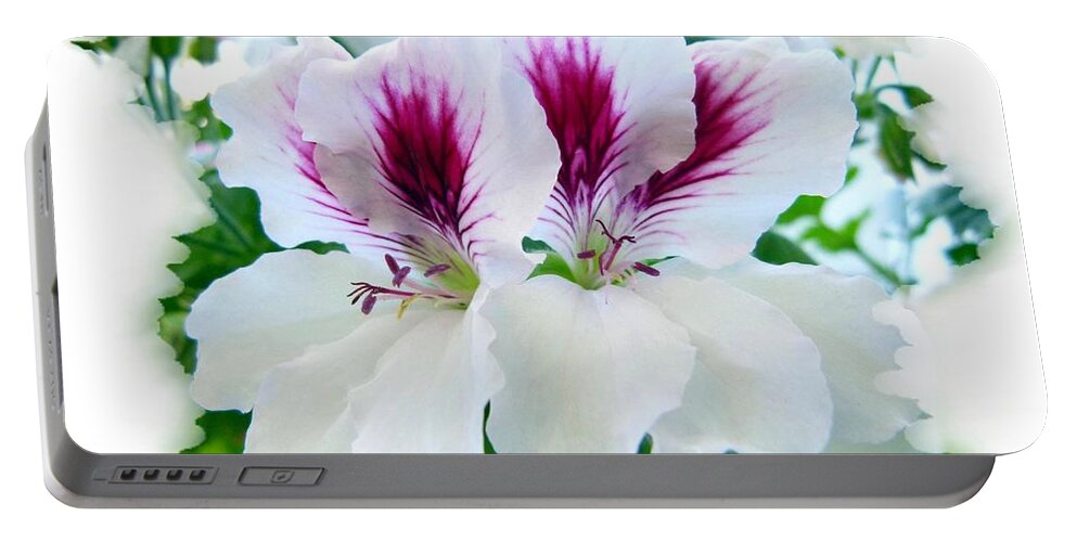 Scented Geraniums Portable Battery Charger featuring the photograph Scented Geraniums 2 by Will Borden