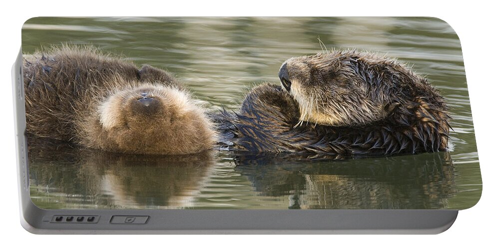 00429654 Portable Battery Charger featuring the photograph Sea Otter Mother And Pup Sleeping by Sebastian Kennerknecht