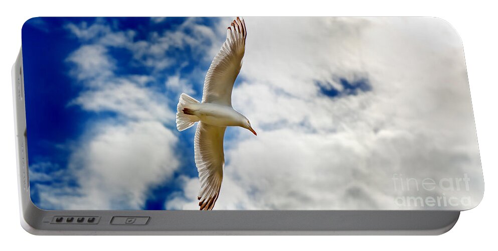 Seagul Portable Battery Charger featuring the photograph Seagul gliding in flight by Simon Bratt