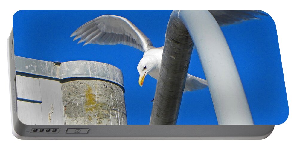 Blue Portable Battery Charger featuring the photograph Seagull Arches by Tikvah's Hope