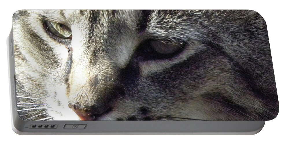 Cat Portable Battery Charger featuring the photograph Serious by Kim Galluzzo