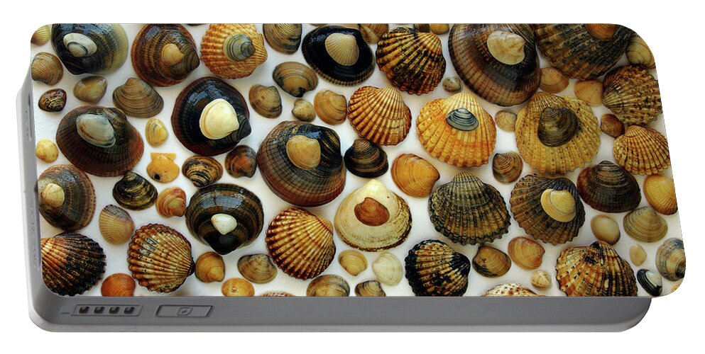 Aquatic Portable Battery Charger featuring the photograph Shell Background by Carlos Caetano