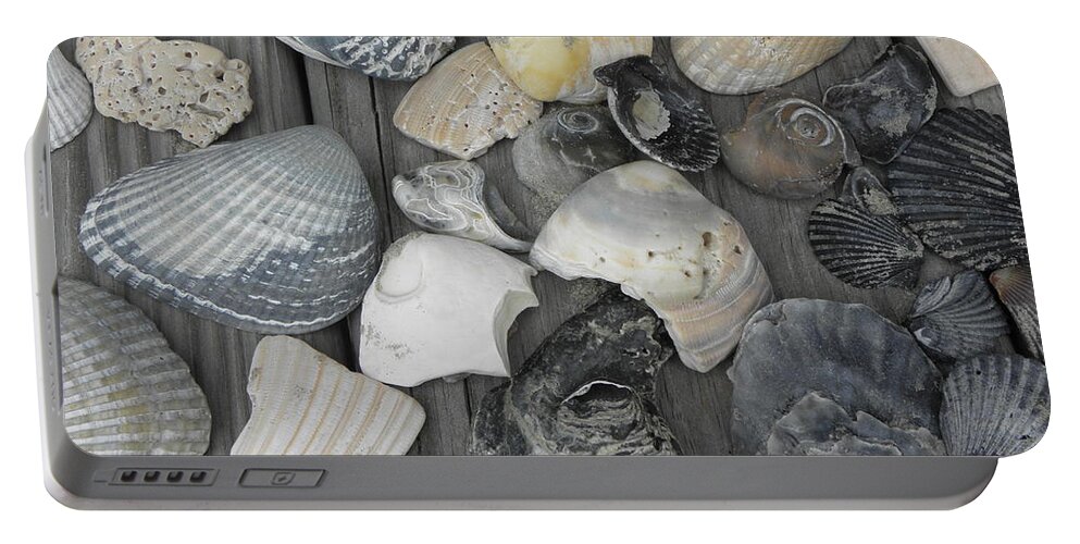 Sea Shells Portable Battery Charger featuring the photograph Shells Shells Shells by Kim Galluzzo