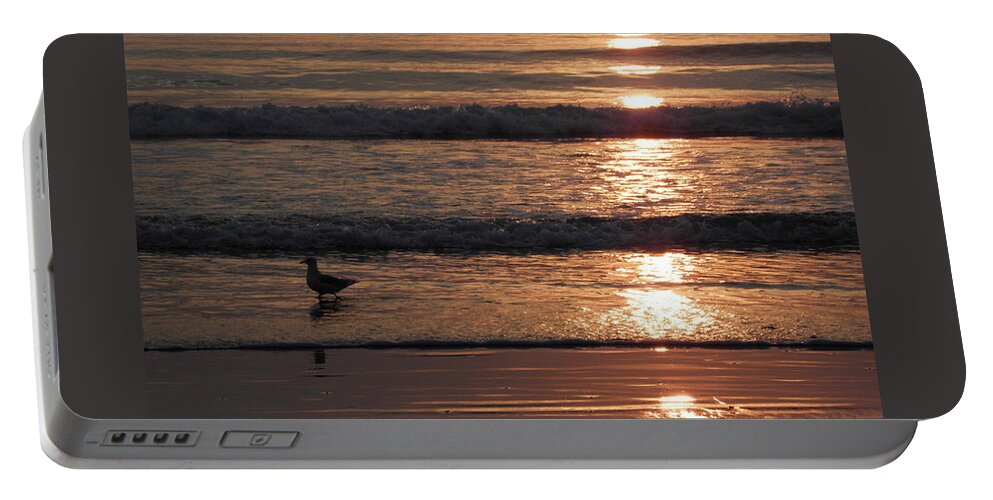 Sunrise Portable Battery Charger featuring the photograph Shoreline Reflections by Kim Galluzzo
