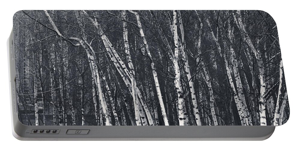 Daytime Portable Battery Charger featuring the photograph Silver Trees by Lenny Carter