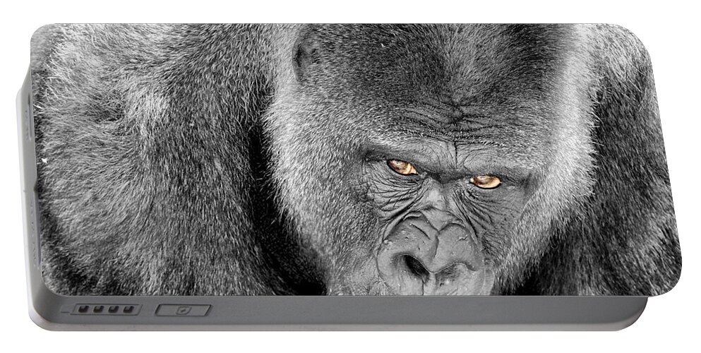 Ape Portable Battery Charger featuring the photograph Silverback Staredown by Jason Politte