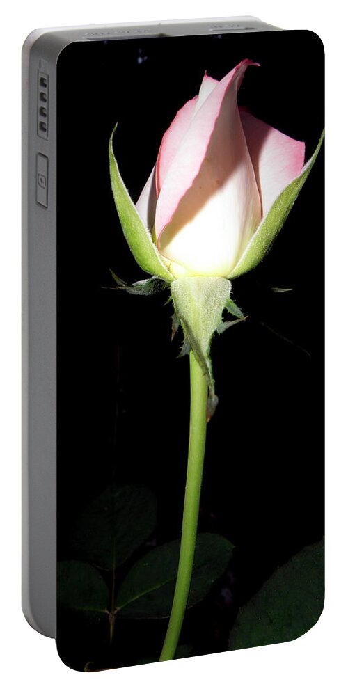 Rose Portable Battery Charger featuring the photograph Simplicity by Kim Galluzzo