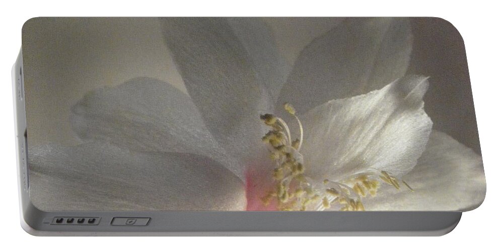 White Portable Battery Charger featuring the photograph Simplicity by Kim Galluzzo