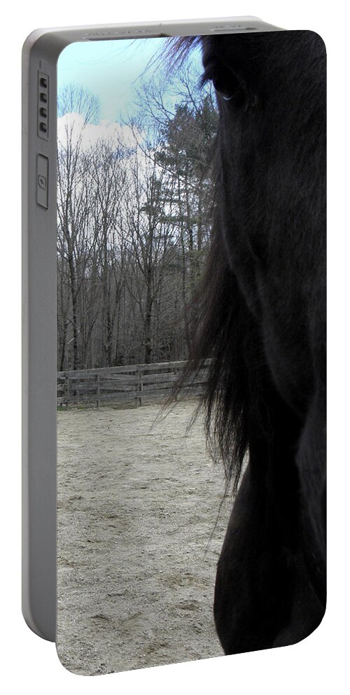 Friesians Portable Battery Charger featuring the photograph Sneaking A Peak by Kim Galluzzo