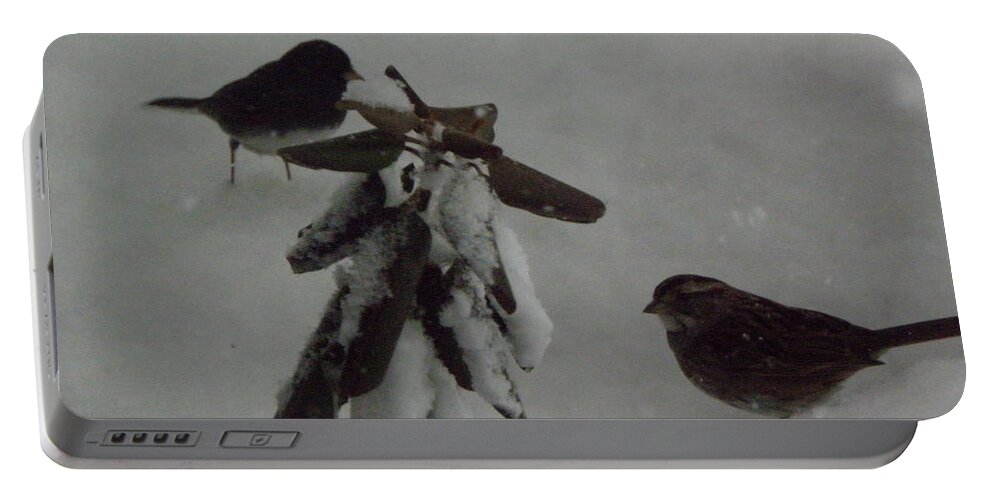 Snow Portable Battery Charger featuring the photograph Snow Birds by Kim Galluzzo