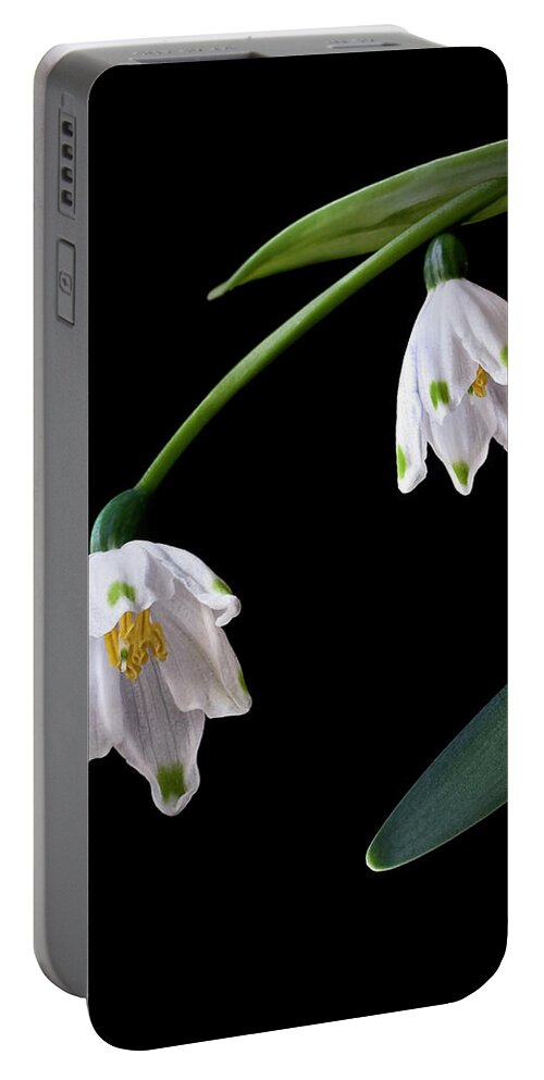 Flower Portable Battery Charger featuring the photograph Snow Drops by Endre Balogh
