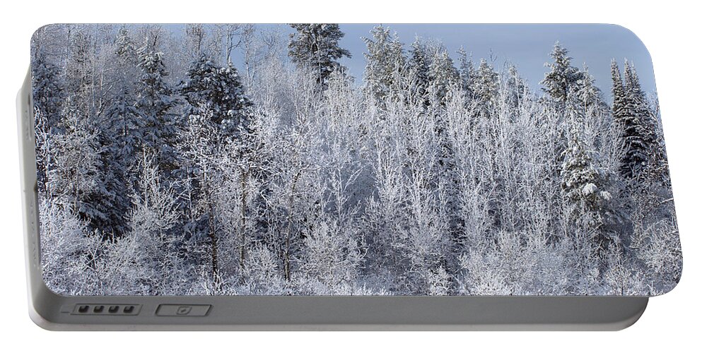 Winter Portable Battery Charger featuring the photograph Snows Hit Again In Early Spring by DeeLon Merritt